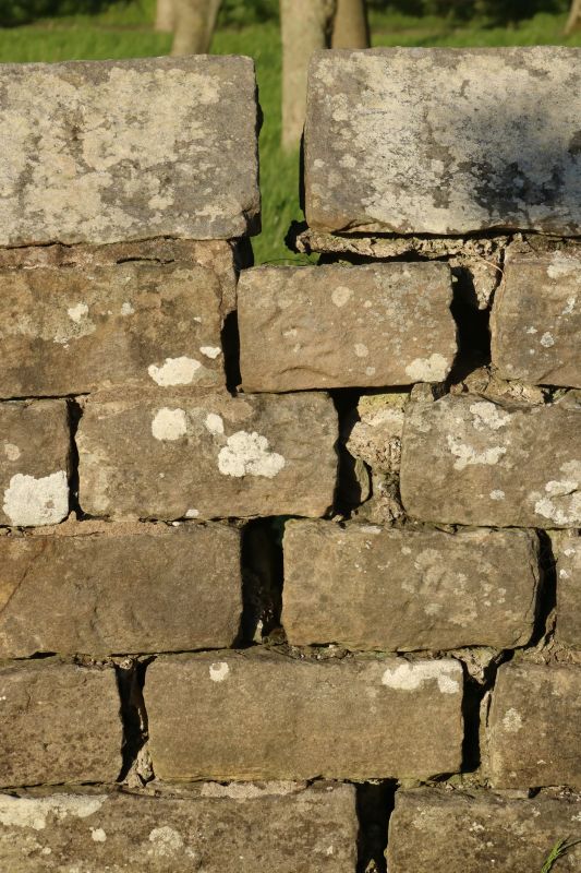 Stone Wall Repair in Holly Springs, NC